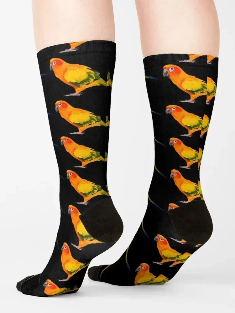 S مخصص لهدايا الشتاء Sun Conure Socks، جوارب رياضية رائعة وسعيدة للرجال والنساء