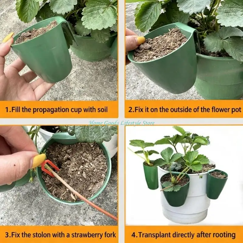 E74E Strawberry Propagation for Breathable Cups and Fixing Forks Designed to Improve Airflows and Root Health in Greenhouse