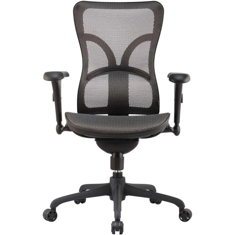 

Mesh Back Office Chair with Adjustable Arms, Gray