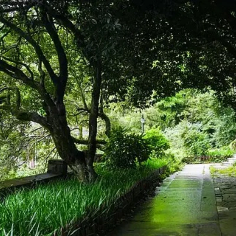 

Приемник iFlight ExpressLRS ELRS 500 мВт ELRS 900 МГц 500 мВт RX/ELRS 2,4 ГГц 500 мВт RX для деталей FPV