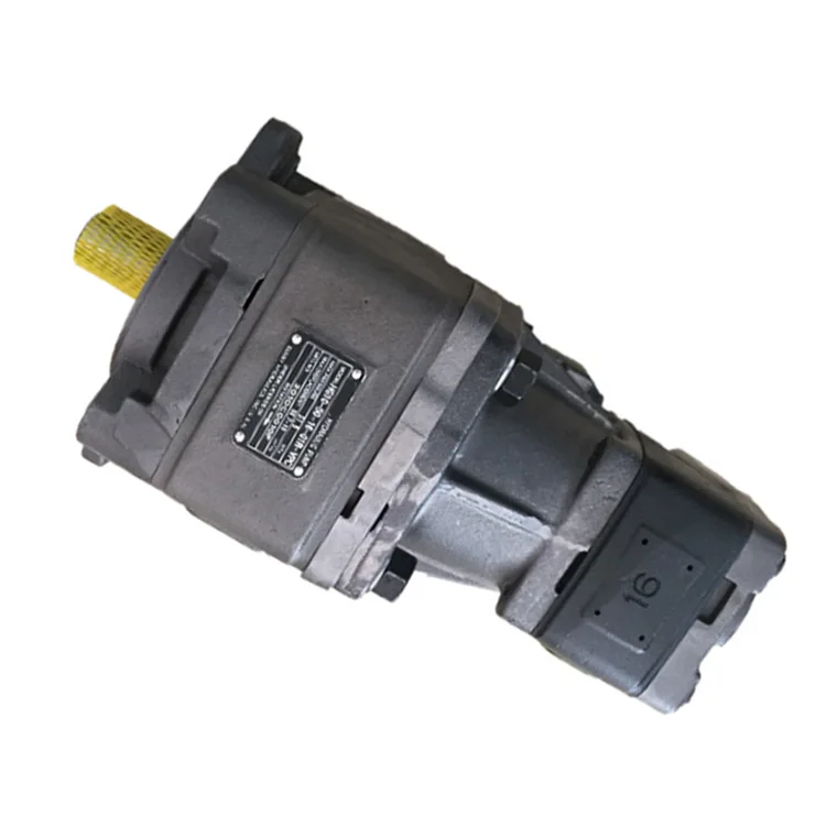 

High Pressure Gear Pump HG22-160/125/100-80/100/125/160-01R-VPC-G-D-36 Hydraulic pump for steel mills and power plants