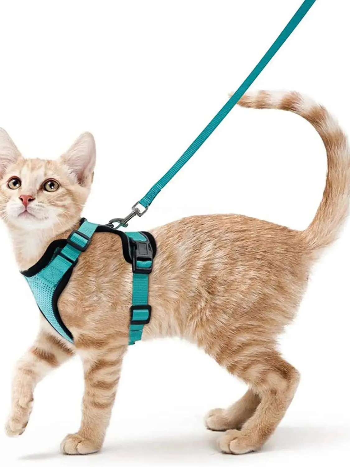 Katzengeschirr und Leine zum Spazierengehen, auslaufsichere, weiche, verstellbare Weste, Geschirre für Katzen, EasyControl