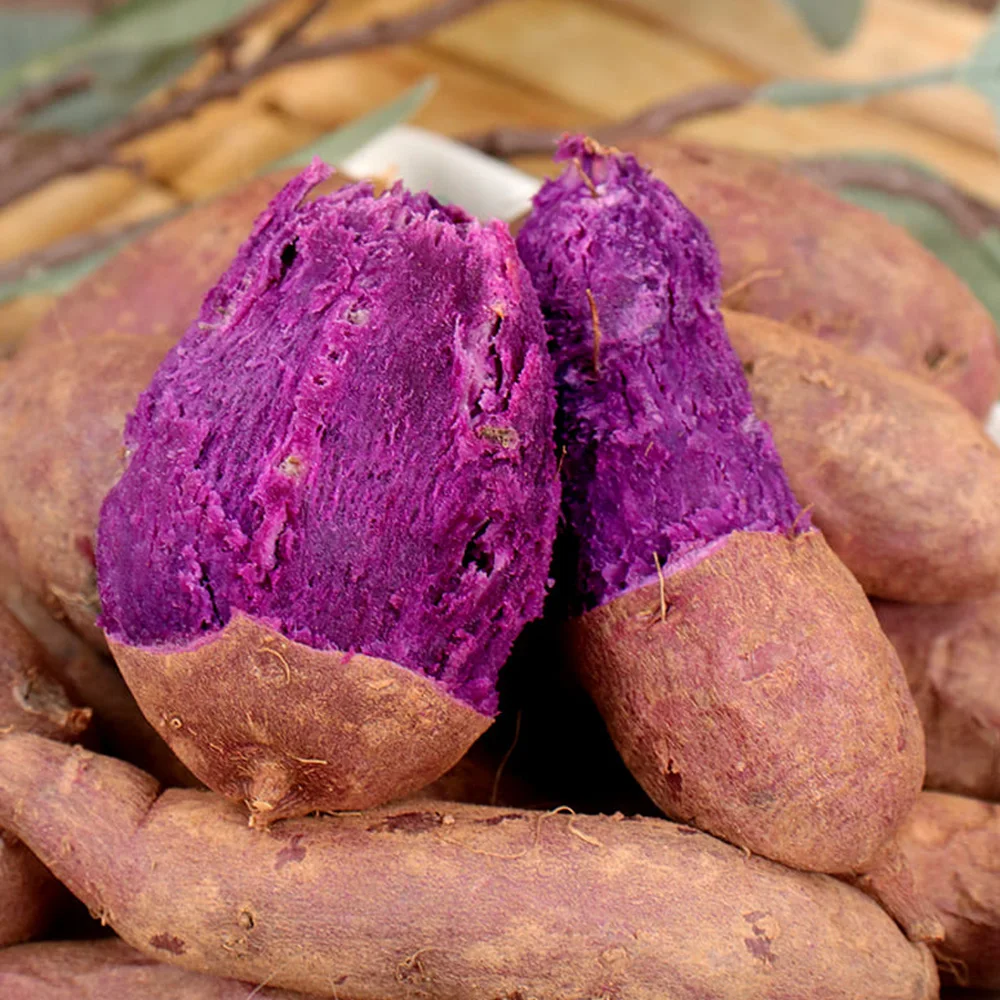 2025 مزيج بطاطس حلوة من Haenam، مزيج بطاطس حلوة أرجواني فاتح #1