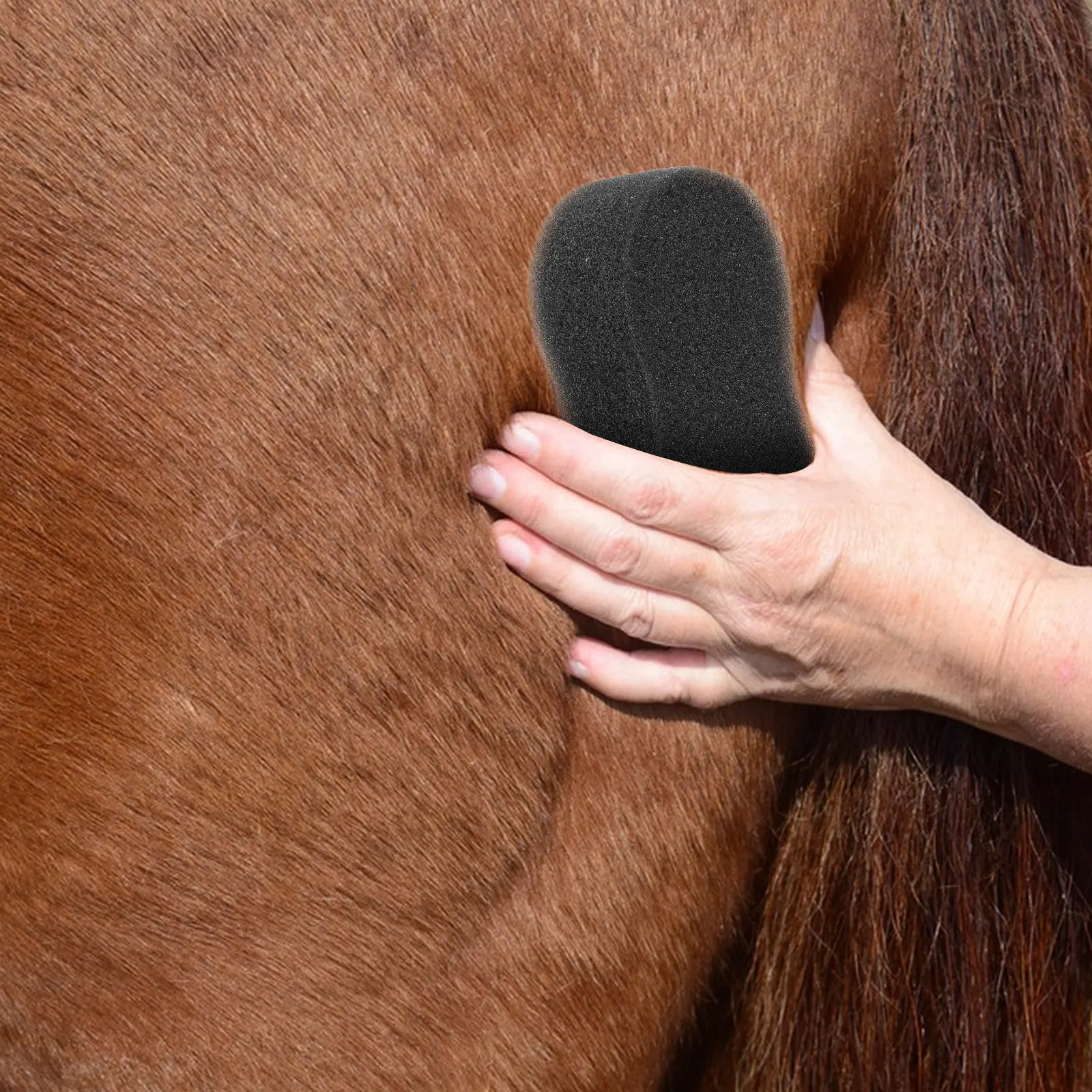 

5Pcs Horse Cleaning Sponges Soft Comfortable Grooming Sponge for Bathing Washing Sweat Dirt Removal Large Horse and Cattle