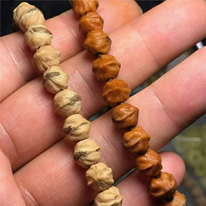 

Hot Vibrating Red Bud Dirty With Buddha, Rare In Market, Wealthy Men And Women'S Collectible Grade Seed