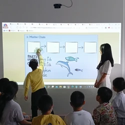 Free Shipping 200 inch Finger and Pen Touch Screen PC Board Interactive Projection DeviceBest Portable Smart Board For Classroom