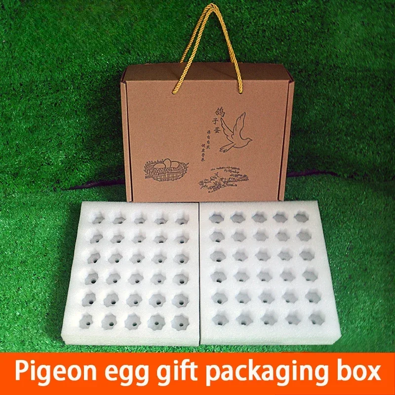 Pigeon Egg Express Transport Package Box Pearl Cotton Stress Resistance Anti Fall Measures Pack Case Ventilation Foam Gift Boxes