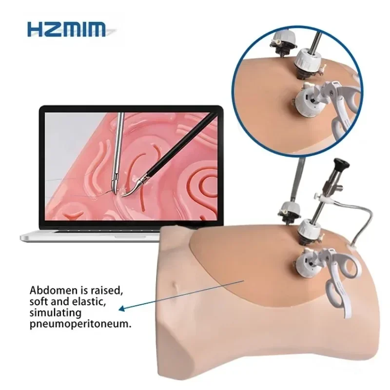 Simulated Abdominal Laparoscopic Trainer Box Set Laparoscopy Practicing Model With Endoscope Camera