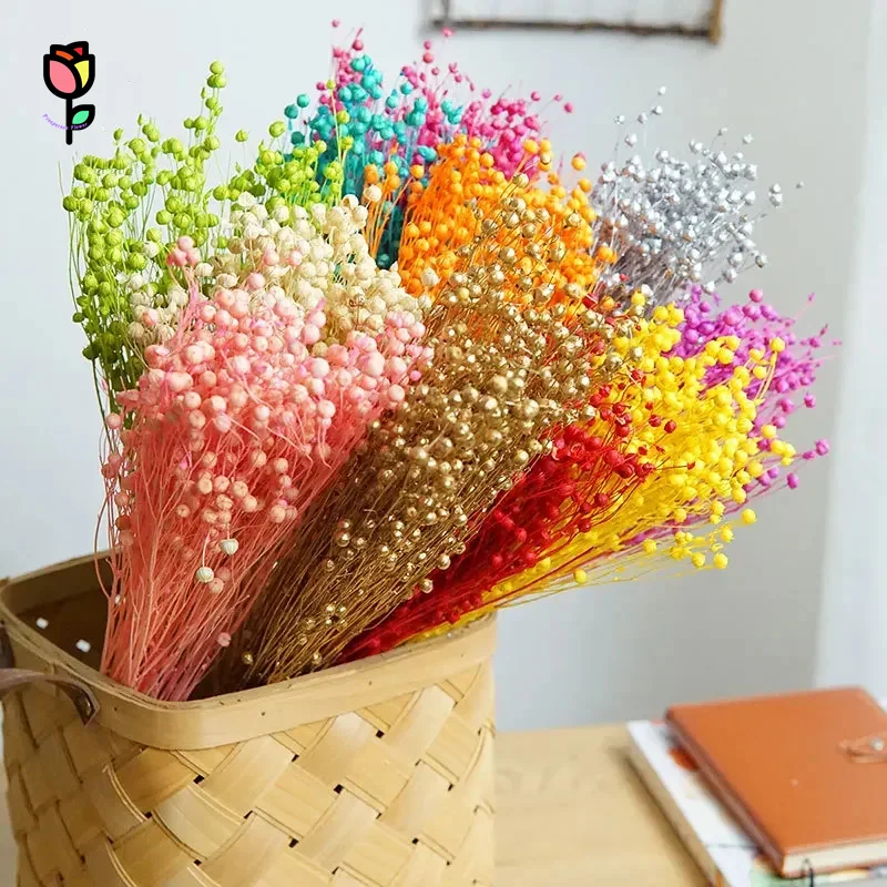 

50g Natural Preserved Dried Flowers Acacia Bean Romantic Bouquets Desktop Home Decoration Artificial Plants Boho Wedding Decor