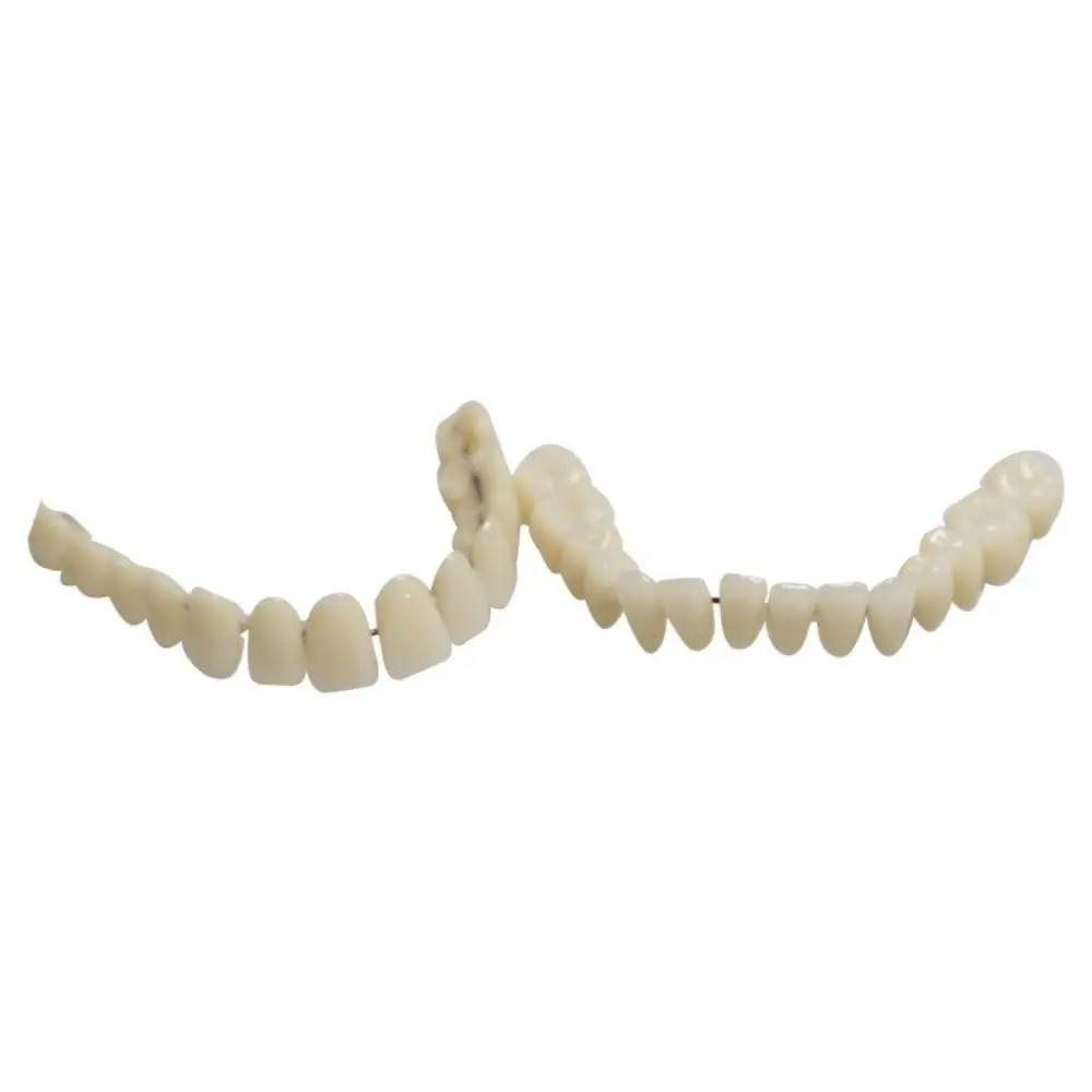 28 Pcs Resin Denture False Teeth Make Your Own Firm Dental Teeth Teaching Model Improve Smile Top and Bottom Fake Teeth