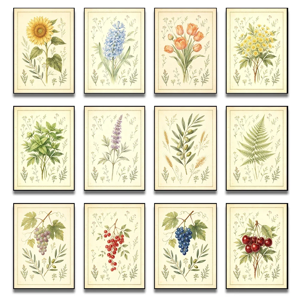Vintage Botanical Posters Antique Plant Floral Print For Living Room Decor Classic Fruit Grape Flowers Canvas Painting Wall Art