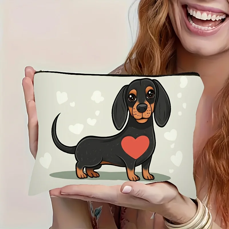 Dachshund 