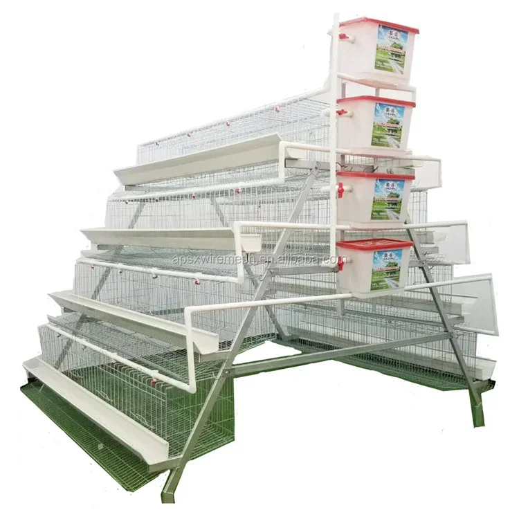 Egg laying Q235 Hot Dip Galvanized Modern Chicken Cages For 96 Birds breeding cage with feeder system