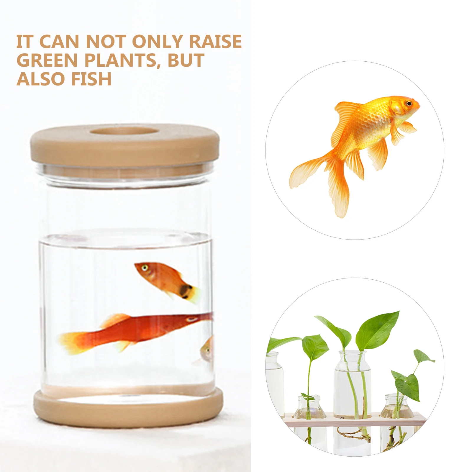 

4pcs Hydroponic Flower Pot Small Succulent Planter Mini Transparent Nursery Imitation Glass Plastic Container for Bamboo