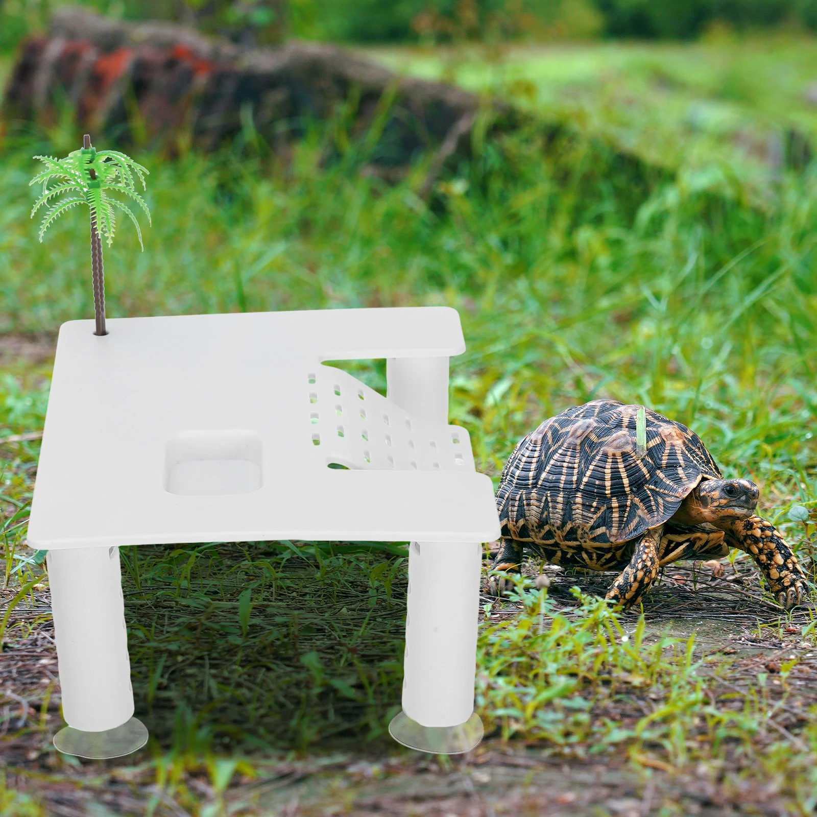 منصة الفرح السلحفاة Abs شرفة عائمة للسلحفاة المائية الزواحف الفرح منصة خزان السلحفاة ديكور السلحفاة الموئل #6