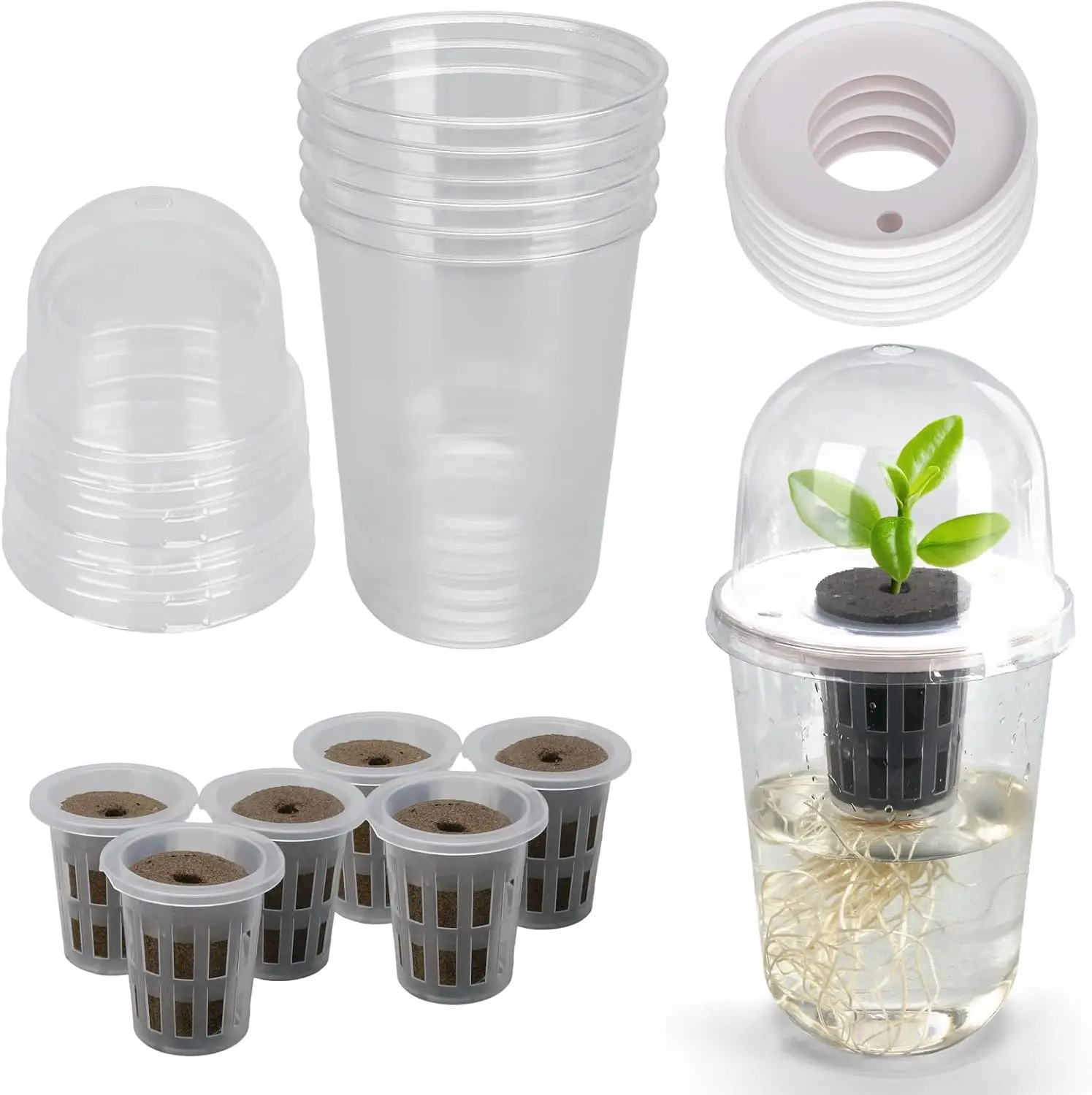 

6 Clear Hydroponic Nursery Pots with Humidity Domes for Seed Starting, Root Growth Monitoring
