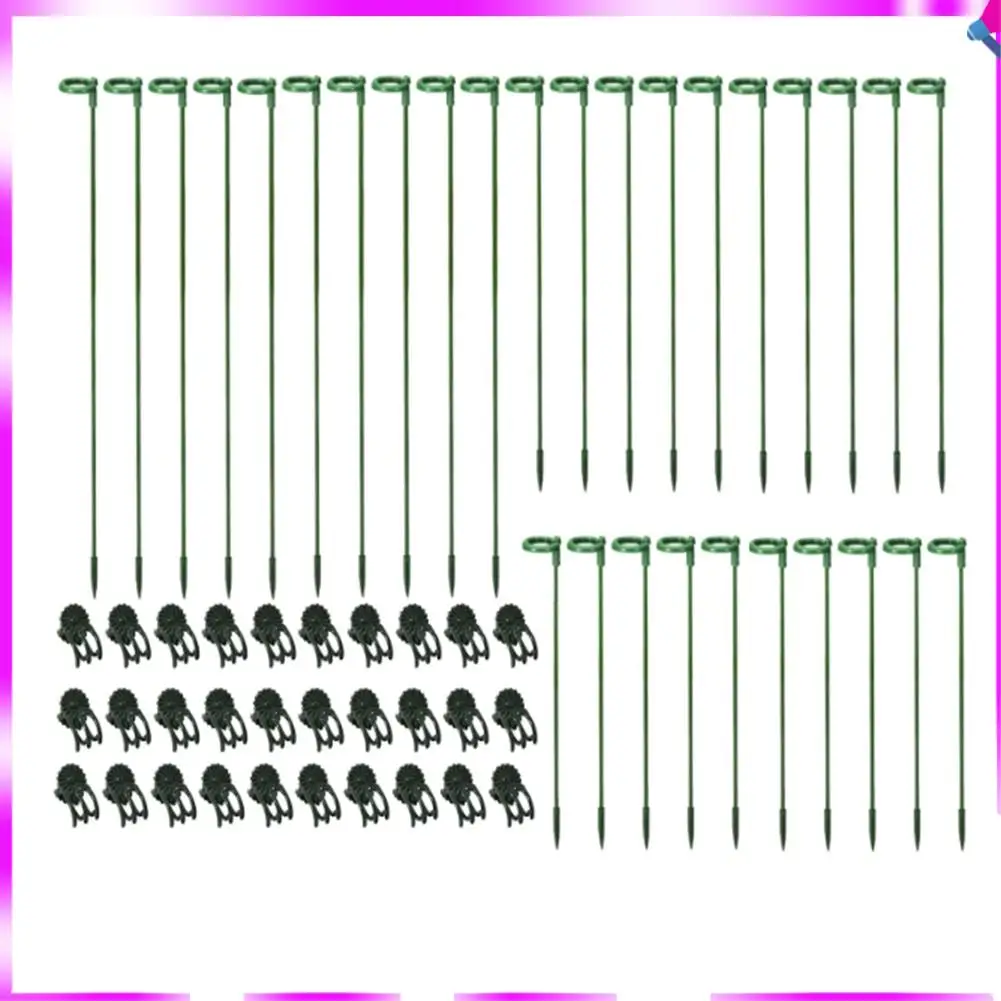 

N96R 30 Pcs Plant Support Rod With 30 Pcs Plant Clips Garden Floral Flower Support Single Stem Support Stake
