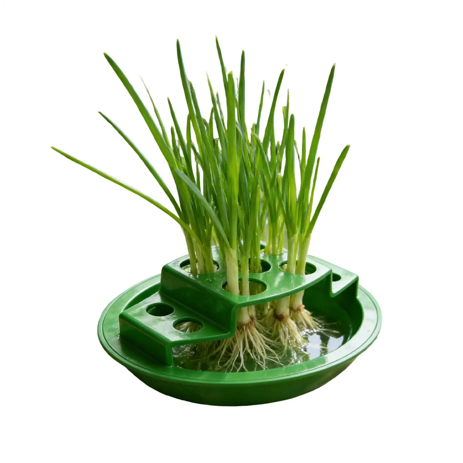 Green Onion Pot Hydroponic Root Stimulation Planter Rack Plant Trays For Home Indoor Kitchen Corner Window Patio Onion Vegetable