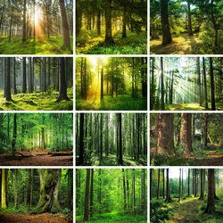 Natural Virgin Forest Photography Backgrounds Rainforest Green Leaves Nature Scenic Portrait Photo Backdrops for Photographers