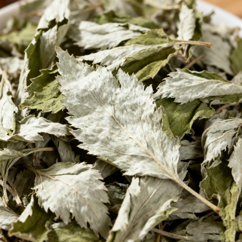 

Качественный натуральный Pogostemon Cablin, сушеный лист пачули для мыла, свечи, благовоний, домашний парфюм, саше, наполнитель подушки