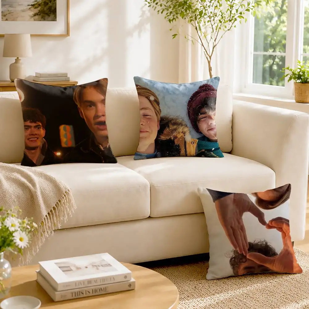 Heartstopper Nick and charlie Custom Double Sided Print Square Pillow Cushion Cover
