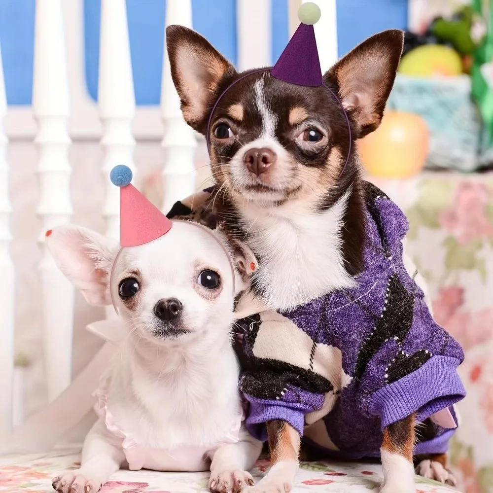 New 6pcs Set Mini Party Hats Lightweight Colorful Party Hats Cone Hats New Year Celebration