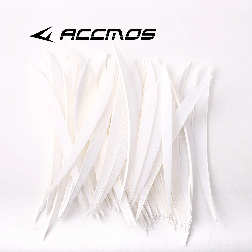 Thumbnail 3 - #12 Cheap Arrow Fletchings Worth Buying