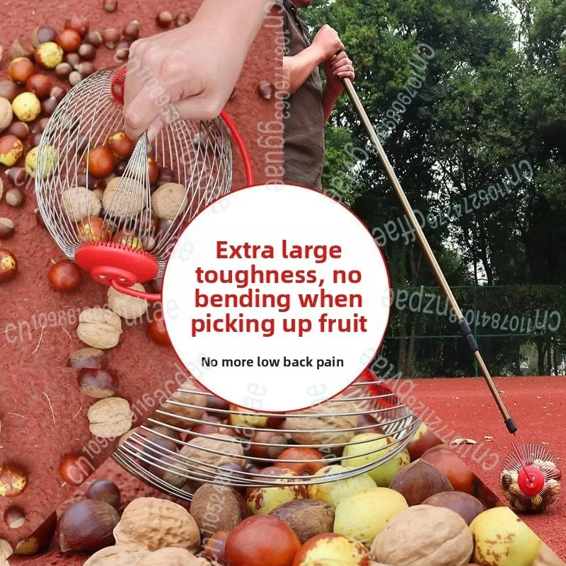 Fruit Collector Fruit Picker Quick Fruit Picker Chestnut Picker Tool Pickup Pecans Chestnut Nuts