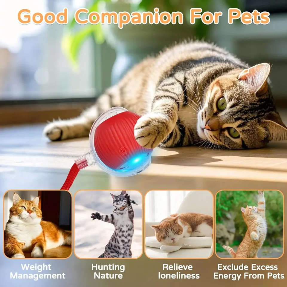 iLMH 1/2 PCS Cat Interactive Ball Toy Automatic Rolling Ball Faux Tail Rechargeable Smart Pet Electric Toy Pet Toy Imitate Mouse, image 3