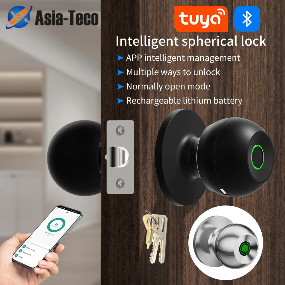 Hot Sale Tuya Smart Electronic Stainless Fingerprint Round Door Knob Handle Lock Internal Door Knobs Passage Lock With Keys App