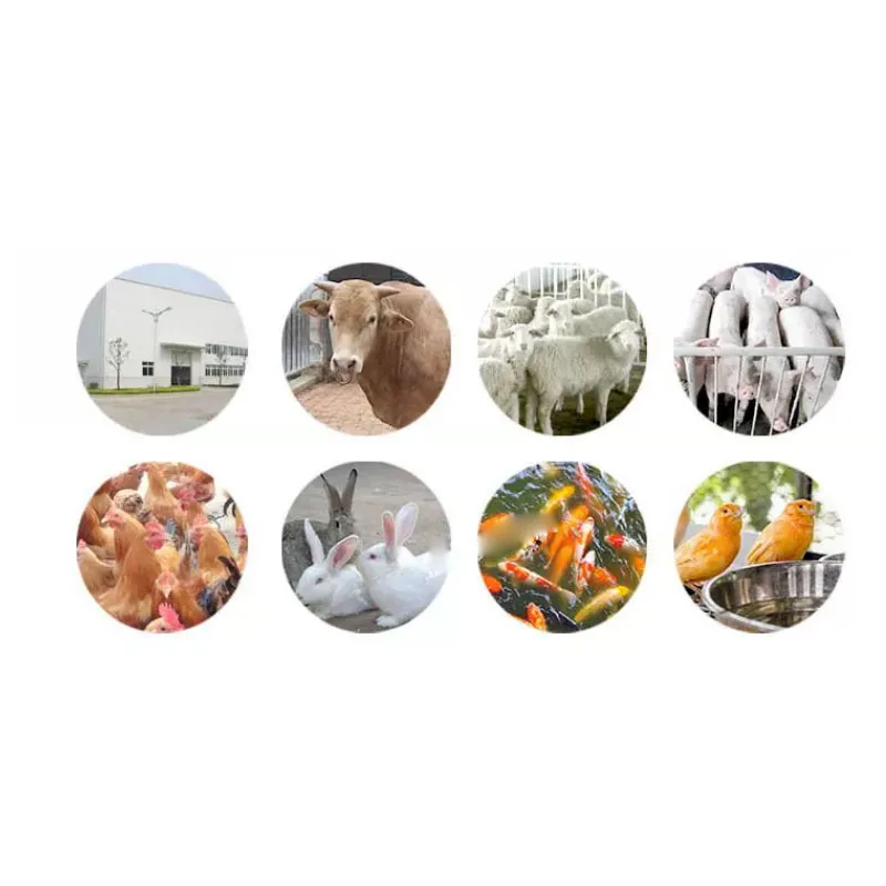 

Poultry Feed Pellet Machine Dry Wet Dual Use Granulator for Chicken Duck Goose Cattle Sheep Pet Livestock Breeding（customized）