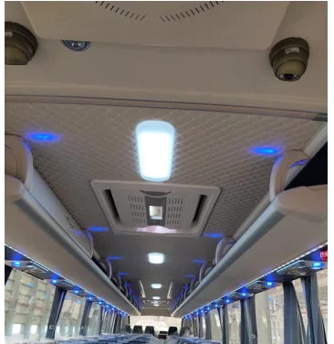 14 Passengers Electric Tourist Bus With Luggage Rack