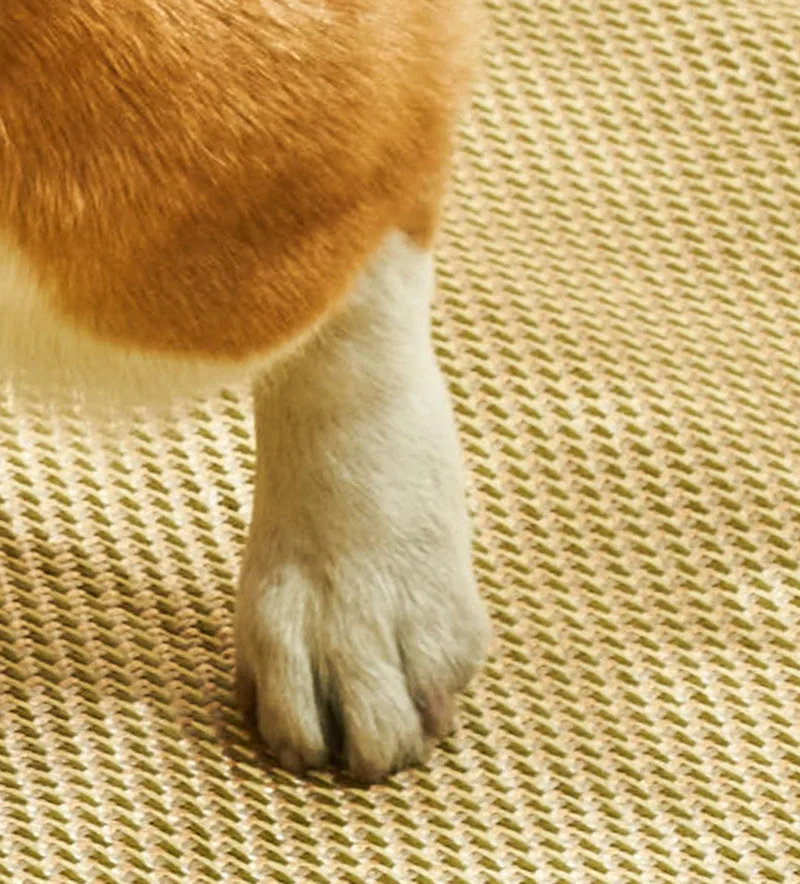 Summer Cooling Pet Bed Mat - Breathable Gel-Infused Sleeping Pad for Dogs & Cats with Non-Slip Base Pet Sleep Ice Pa