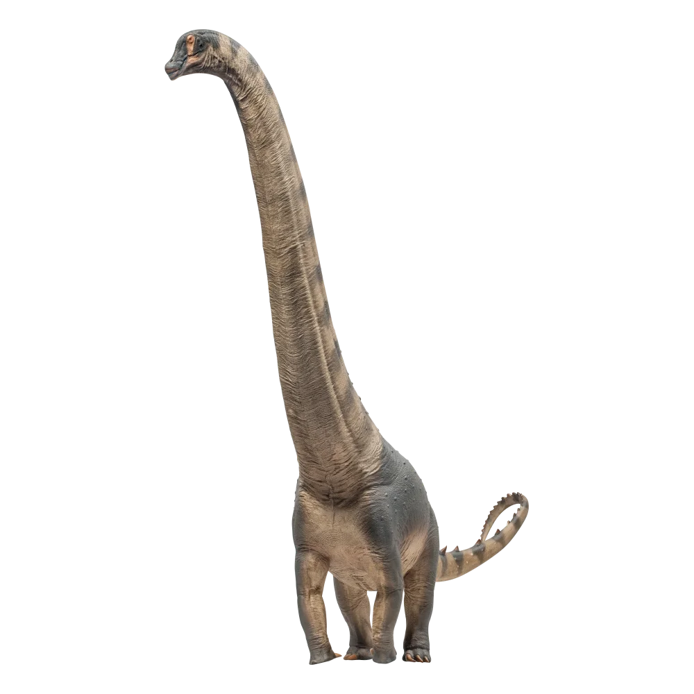 PNSO Prehistoric Dinosaur Models:79 Samuel The Alamosaurus