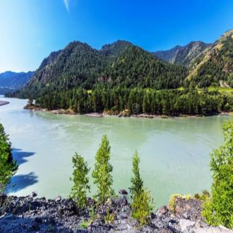 For Automatic Car Trunk Opener Electric Tailgate Lifter Power Tailgate for Hyundai Grandstarex H1 Car Accsesories Tools