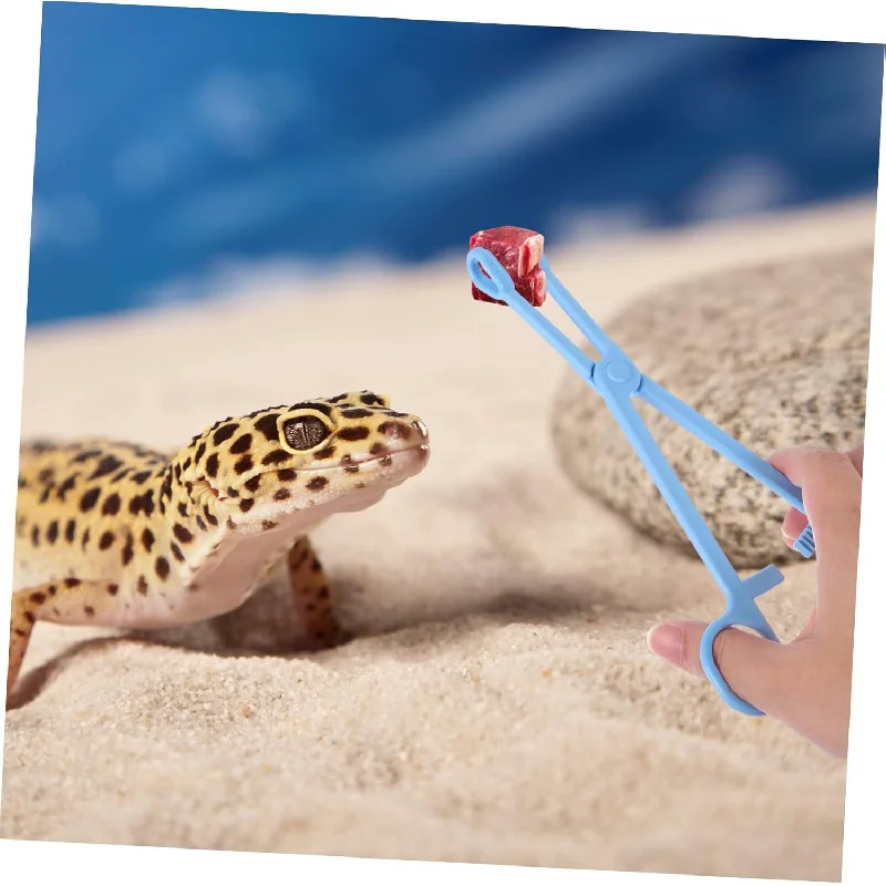 

Реквизит для кормления ящериц, змеи и пауков, необходимые экологические коробочки для проживания, изготовленные из пластика, 2 шт.