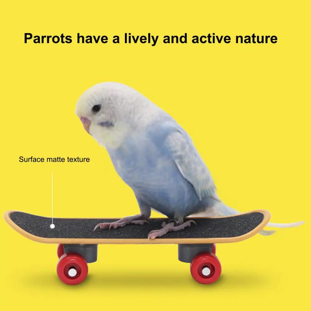 Parrot Scooter Parrot Training Tool Mini Skateboard Parrot Toy Set for Budgies Parakeets Flexible Wheel Bird Training for Growth