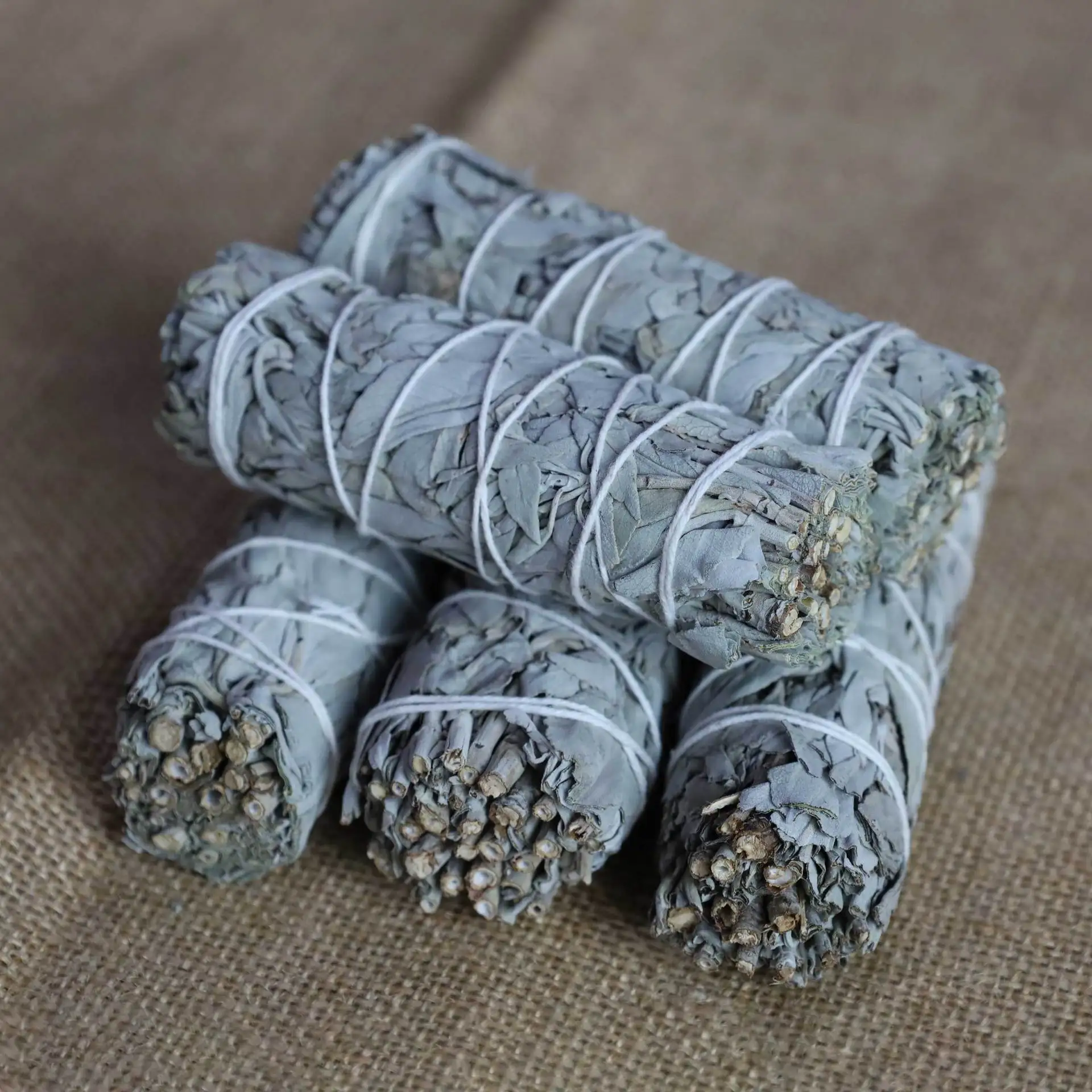 3 Bundles White Sage Salvia Japonica Aromatherapy Stick Plant Fumigation California White Sage Balsam Purification