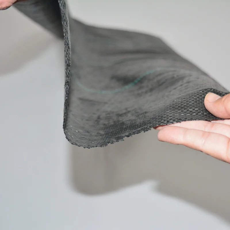 Agricoltura Anti UV pp Tessuto Geotextile Tappetino per il controllo delle erbacce Foglio di plastica in polietilene PE Doppio rivestimento Tela impermeabile