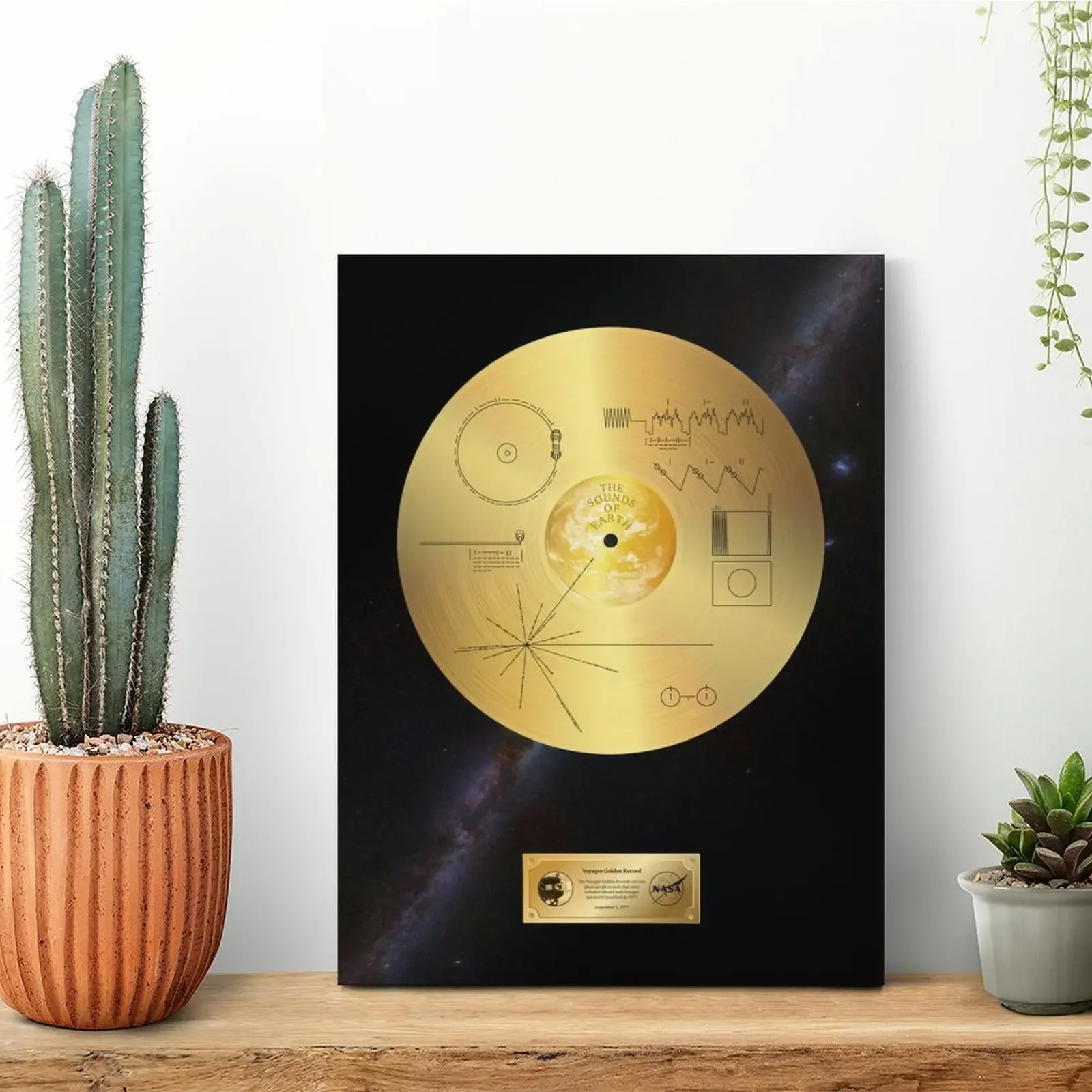 Voyager 1, Π·ΠΎΠ»ΠΎΡΠΎΠΉ ΠΏΠ»Π°ΠΊΠ°Ρ, Ρ
ΠΎΠ»ΡΡ, ΠΊΠ°ΡΡΠΈΠ½Π°, ΠΏΠΎΡΡΠ΅Ρ, Π΄ΠΎΠΌΠ°ΡΠ½ΡΡ ΠΏΠ΅ΡΡΠΎΠ½Π°Π»ΠΈΠ·ΠΈΡΠΎΠ²Π°Π½Π½Π°Ρ Π½Π°ΡΡΠ΅Π½Π½Π°Ρ ΠΏΠ΅ΡΠ΅ΡΠ°, Π½Π°ΡΡΠ΅Π½Π½ΡΠ΅ ΠΊΠ°ΡΡΠΈΠ½Ρ Π² ΡΠ°ΠΌΠΊΠ΅ Π΄Π»Ρ ΠΊΠΈΠ½ΠΎΡΠ΅Π°ΡΡΠ° Voyager 1, Π·ΠΎΠ»ΠΎΡΠΎΠΉ ΠΏΠ»Π°ΠΊΠ°Ρ, Ρ
ΠΎΠ»ΡΡ, ΠΊΠ°ΡΡΠΈΠ½Π°, ΠΏΠΎΡΡΠ΅Ρ, Π΄ΠΎΠΌΠ°ΡΠ½ΡΡ ΠΏΠ΅ΡΡΠΎΠ½Π°Π»ΠΈΠ·ΠΈΡΠΎΠ²Π°Π½Π½Π°Ρ Π½Π°ΡΡΠ΅Π½Π½Π°Ρ ΠΏΠ΅ΡΠ΅ΡΠ°, Π½Π°ΡΡΠ΅Π½Π½ΡΠ΅ ΠΊΠ°ΡΡΠΈΠ½Ρ Π² ΡΠ°ΠΌΠΊΠ΅ Π΄Π»Ρ ΠΊΠΈΠ½ΠΎΡΠ΅Π°ΡΡΠ°