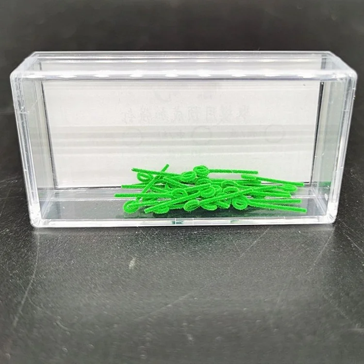 

Стоматологический инструмент, предварительно формованные армирующие гвозди, холодная погода, материал для оттискания агара, уход за полостью рта, лабораторные аксессуары, стоматологическая клиника