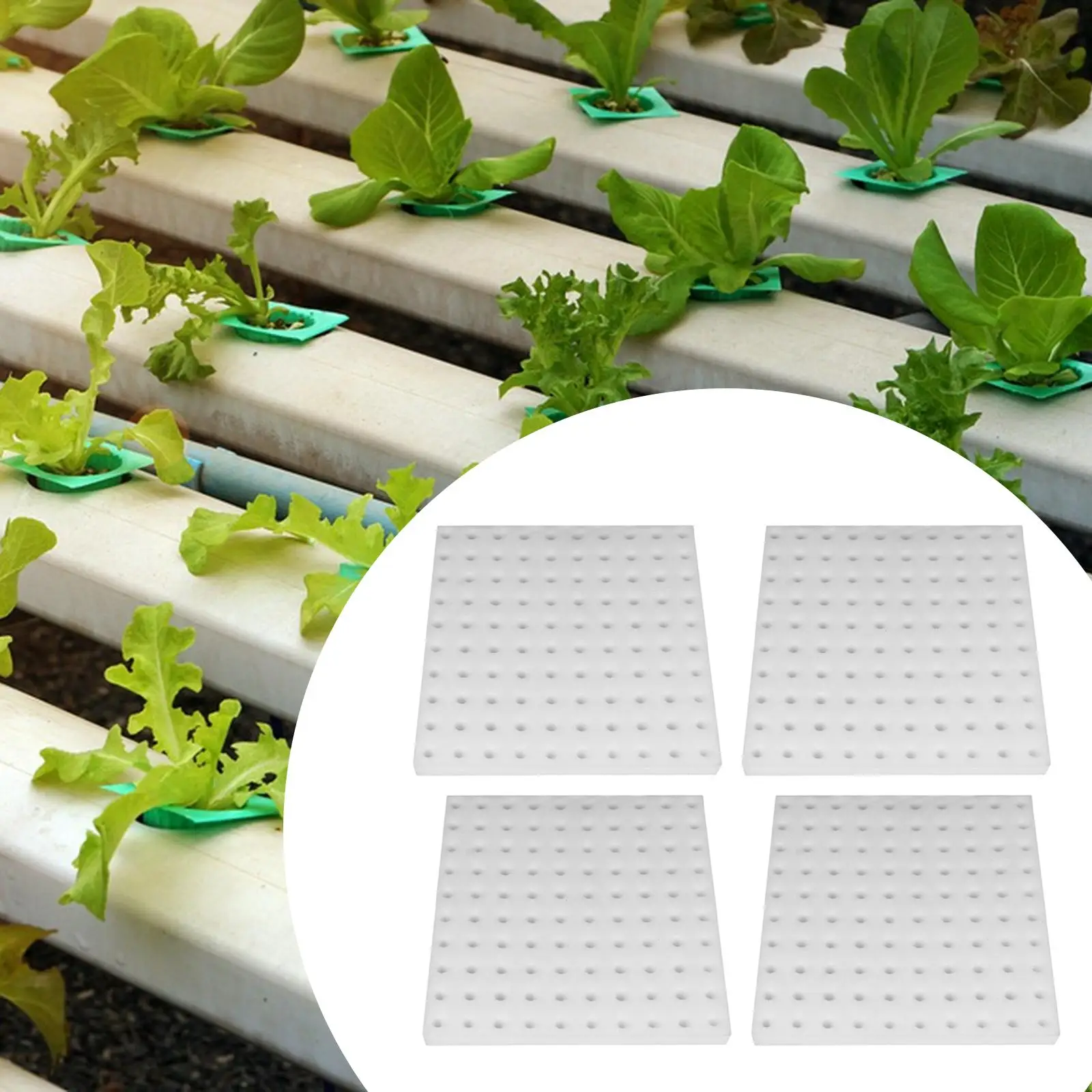 

Hydroponic Sponge Seedling Starter Small Bud Growth Indoor Garden Greenhouse