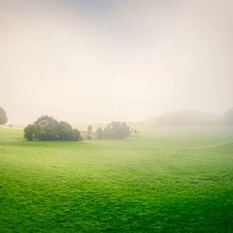 

37T 13T Steel Differential Gear Set Ring Gear Pinion Gear 5379X for Trxs Summit E-Revo 1/10 RC Car Upgrade Parts