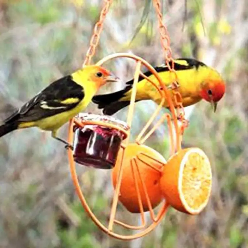 Oriole Feeders For Outdoors Clementine Oriole Feeder Bird Water Feeder For Garden Backyard Patio Deck Attracts Hummingbirds