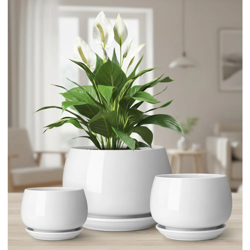 

3-Pack Ceramic Plant Pots with Saucers & Drainage, 3.7/4.8/6.2 Inch Indoor Planters for Succulents Herbs Flowers Home Decor