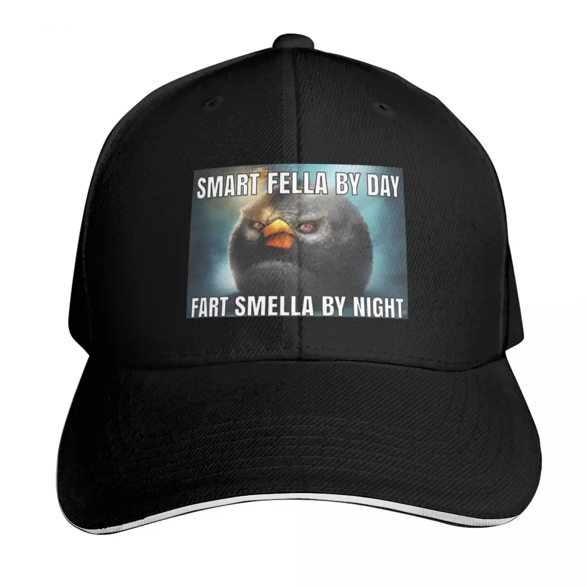 smart fella by day fart smella by night Baseball Cap Lightweight Packable Gift for Him Her Casual Daily Wear