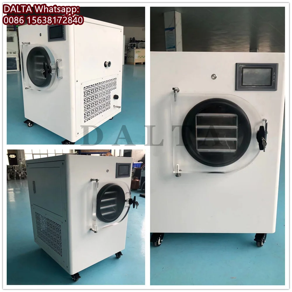 0.1-0.6㎡ Home Use Vacuum Freeze Dryer Lyophilization Machine Multifunctional Lyophilizer for Vegetables Fruit Meat and Pet Food