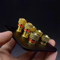 Hifi DIY Square Speaker Terminal Binding Post Block Black Acrylic Junction Plate For Home Sound Audio 2 Position 92×80mm