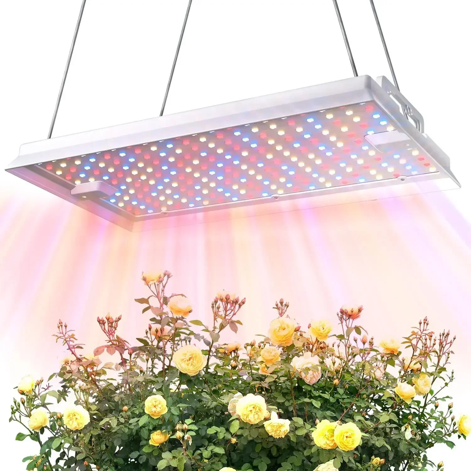 

Plant Grow Light, [Smart APP & Expansive 2x3 Ft Coverage] Genuine 100W Output LED Full Spectrum for Indoor Plants, 8-Level Brigh
