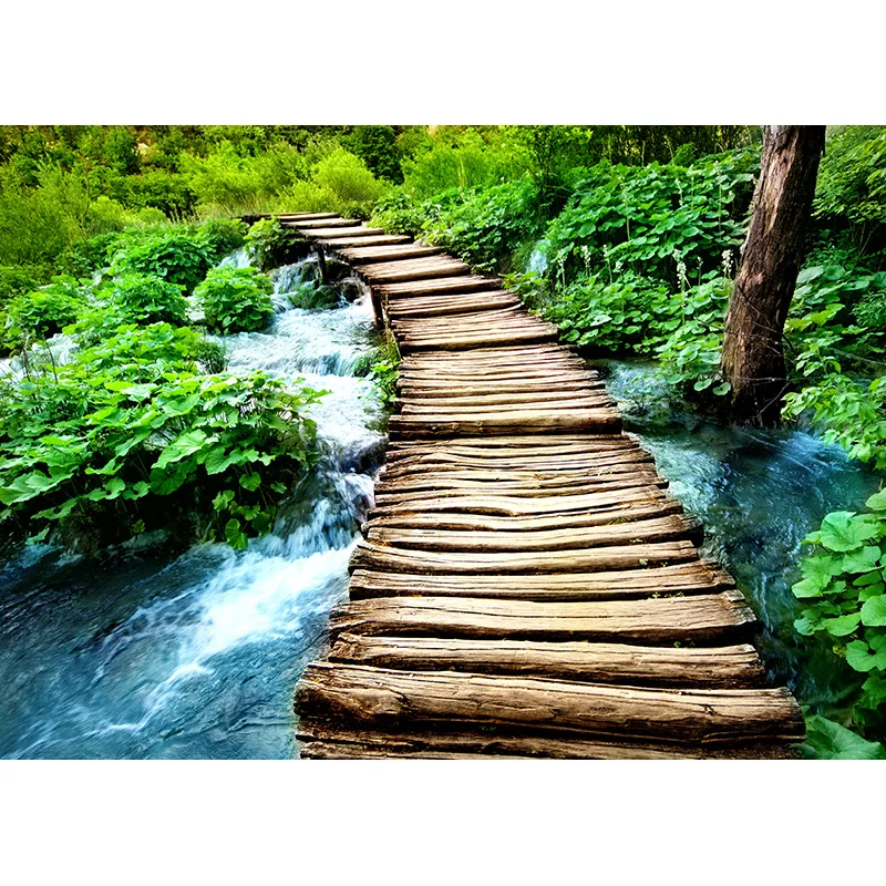 Phong Cảnh Thiên Nhiên Nền Chụp Ảnh Rừng Lúa Mì Lĩnh Vực Cảnh Quan Du Lịch Hình Phông Nền Phòng Thu Đạo Cụ 21512 ZRFJ-05